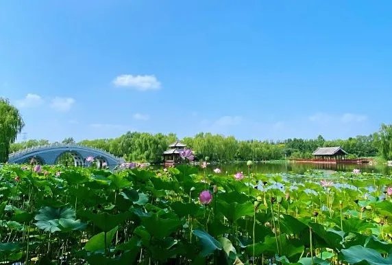 天津旅游 游在天津 天津旅游攻略 > 天津武清区津北森林公园自驾游