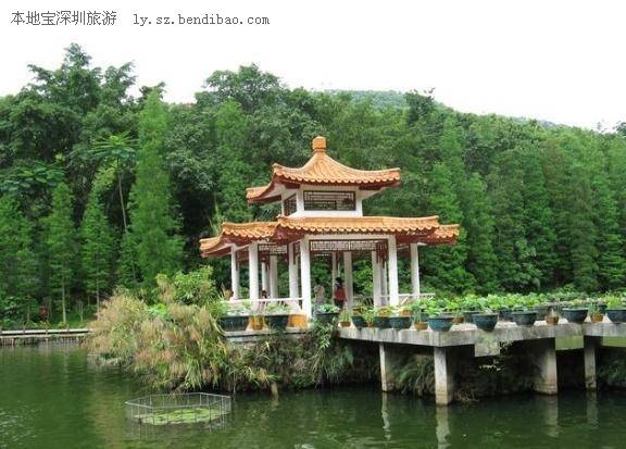 深圳仙湖植物园好玩吗（亮点+怎么去）