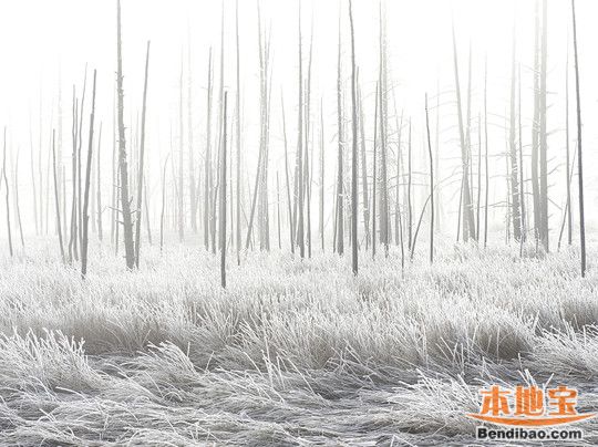 2015年全球最佳旅行摄影照片 看多彩多姿的美丽世界
