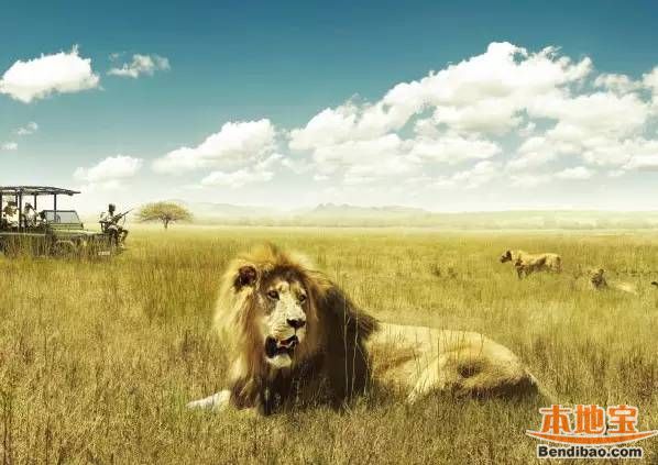 出国旅游要多少钱?南非旅游要多少钱?