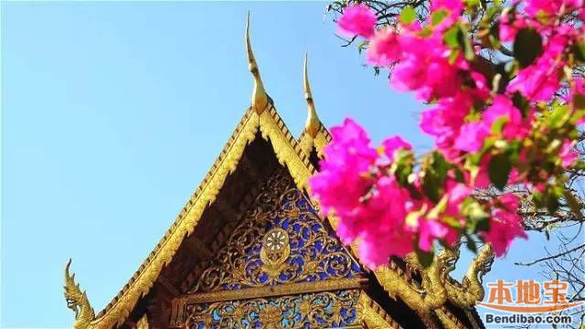 泰国免签证费3个月 去清迈5天4晚行程这样安排
