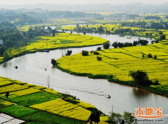 流金大地 杨毅/摄