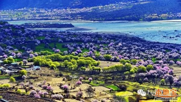 3月国内最佳旅游地top8 去山村里看一场花海