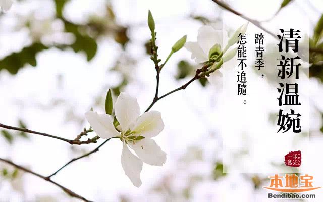 深圳3月哪里可以赏花?与你邂逅在花花世界里