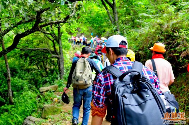 2016龙岗区春季登山比赛详情