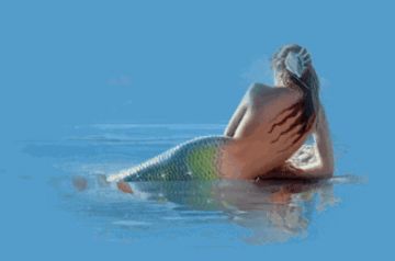 还是这样游动的美人鱼?