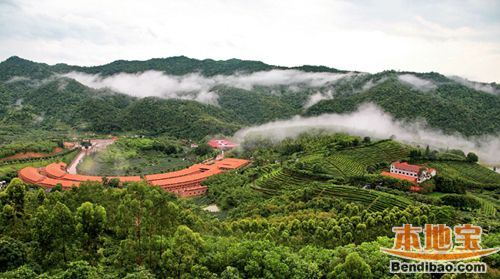 2016梅州雁南飞茶田景区5.19中国旅游日优惠活动