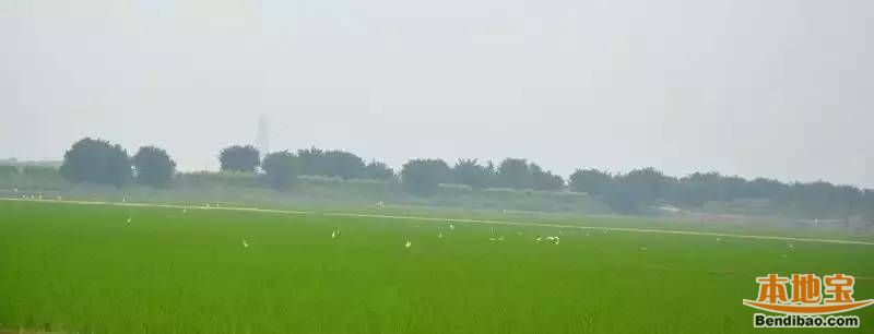 中山骑行路线推荐 环岛骑行吹江风尝美食
