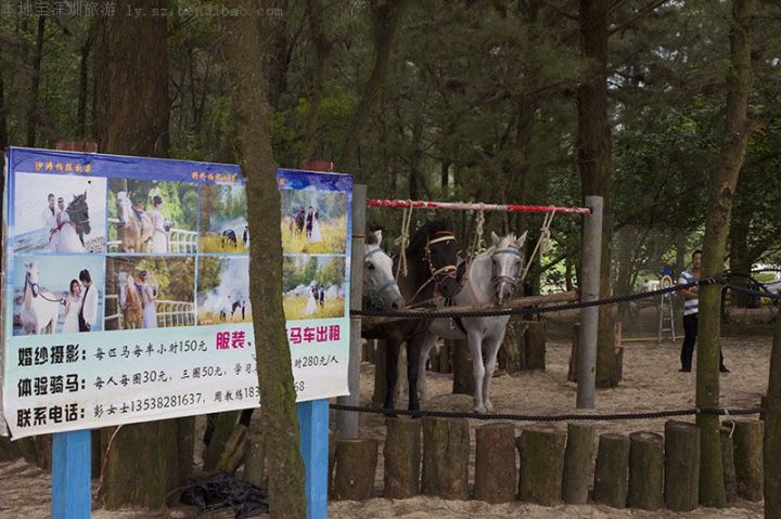 深圳最具特色的滨海景点——玫瑰海岸