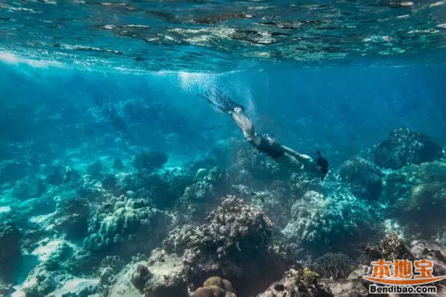 广东海边哪里好玩?九种滨海新玩法攻略