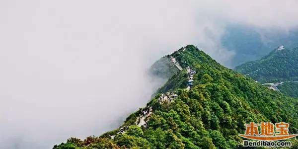 十一深圳旅游攻略 各类型游玩方式任你选(图)