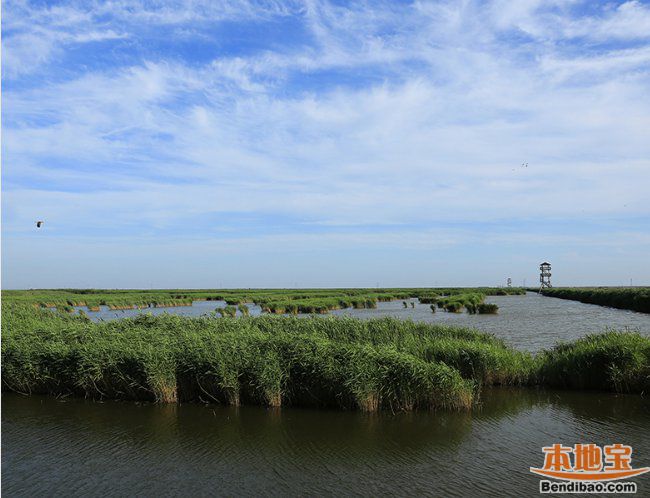 唐山市曹妃甸湿地景区旅游指南