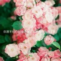 酒入我身