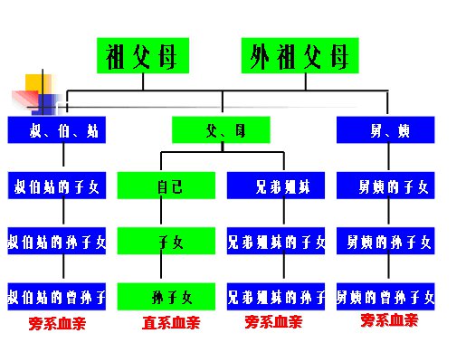 直系亲属三代包括哪些