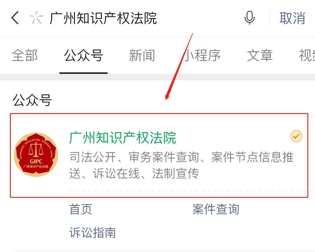 如何用广州知识产权法院公众号查询案件
