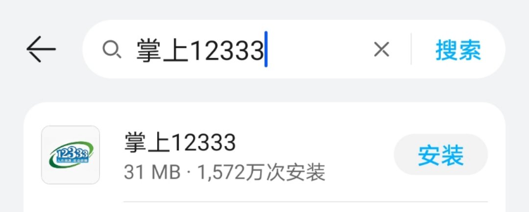 12333.gov.cn)和"掌上12333"app