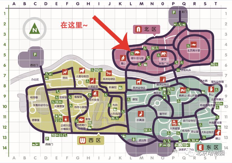 北京动物园游览推荐路线一