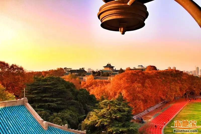 武汉本地宝 武汉旅游 玩转武汉 武汉旅游攻略 武汉秋天拍照不可错过的