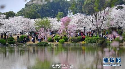 2015武汉东湖樱花节门票多少钱?
