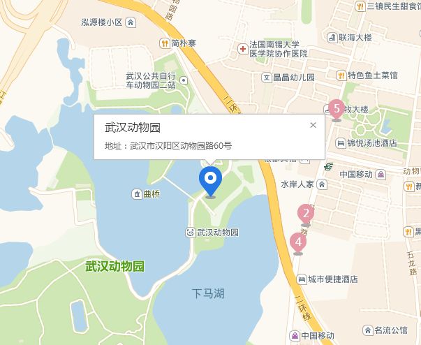 武汉动物园坐公交怎么去