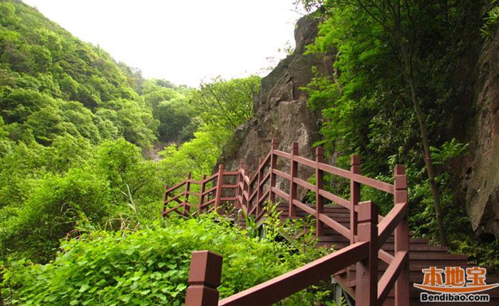 武汉暑假露营地点:武汉九峰山森林动物园-青龙山森林公园-天兴洲