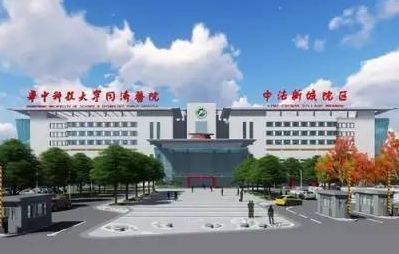 同济医院中法新城院区开业 不少医学大咖义诊- 武汉本地宝