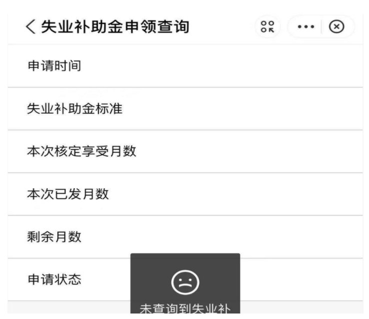 武汉失业补助金查询流程,武汉失业补助金网上申领审核结果查询怎么查询[支付宝+微信+短信](图11)
