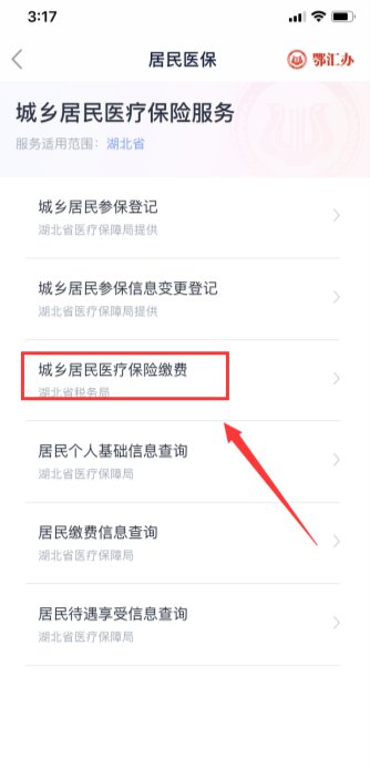 荆门居民医保怎么缴费？附网上缴费流程图解
