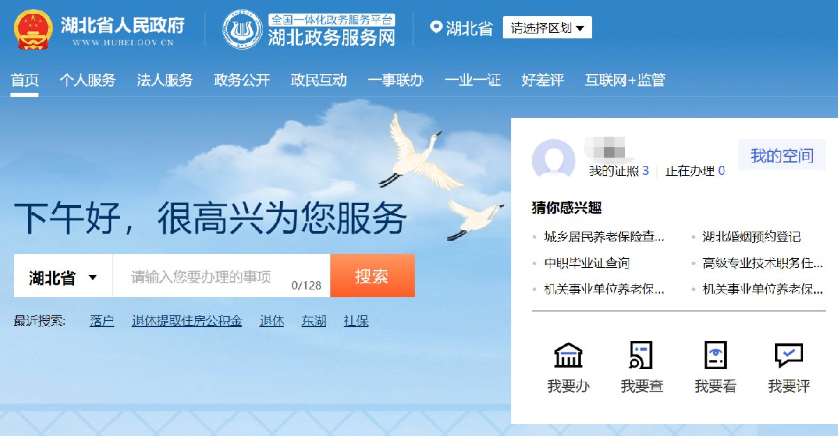 武汉城乡居民养老保险个人账户查询指南