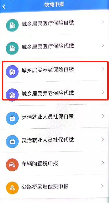 楚税通可以交养老保险吗？