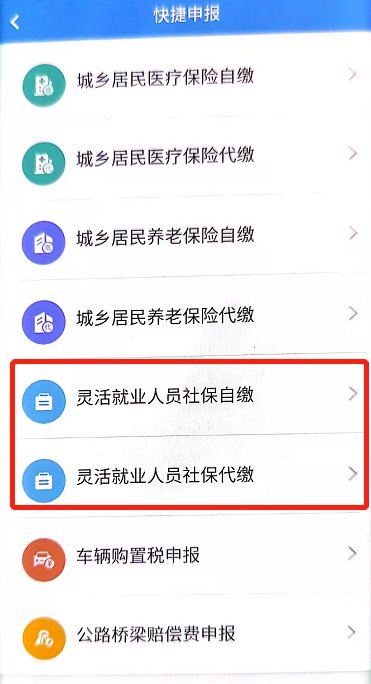 楚税通可以交养老保险吗？