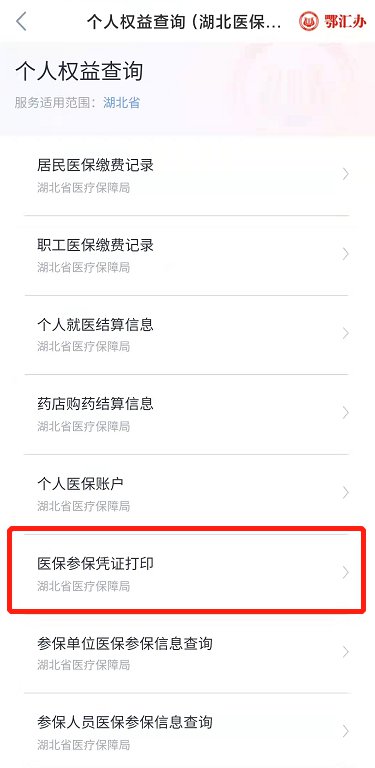 武汉医保参保凭证网上打印指南