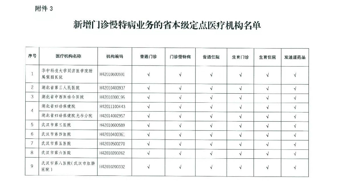 湖北省新增医保定点机构消息一览