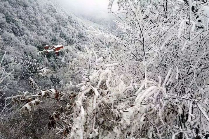 湖北冬季赏雪景旅游景点排行