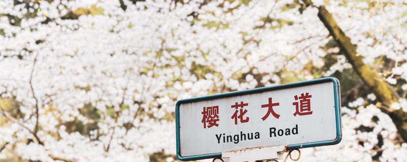 武大樱花云直播入口