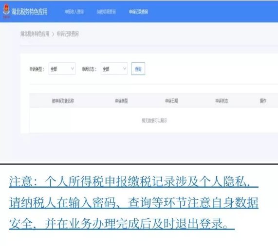 武汉个税记录查询系统上线一览