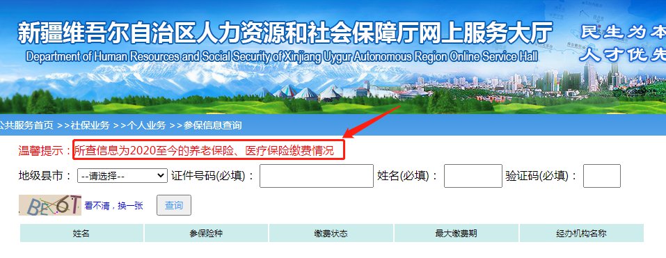 乌鲁木齐医保网上查询指南