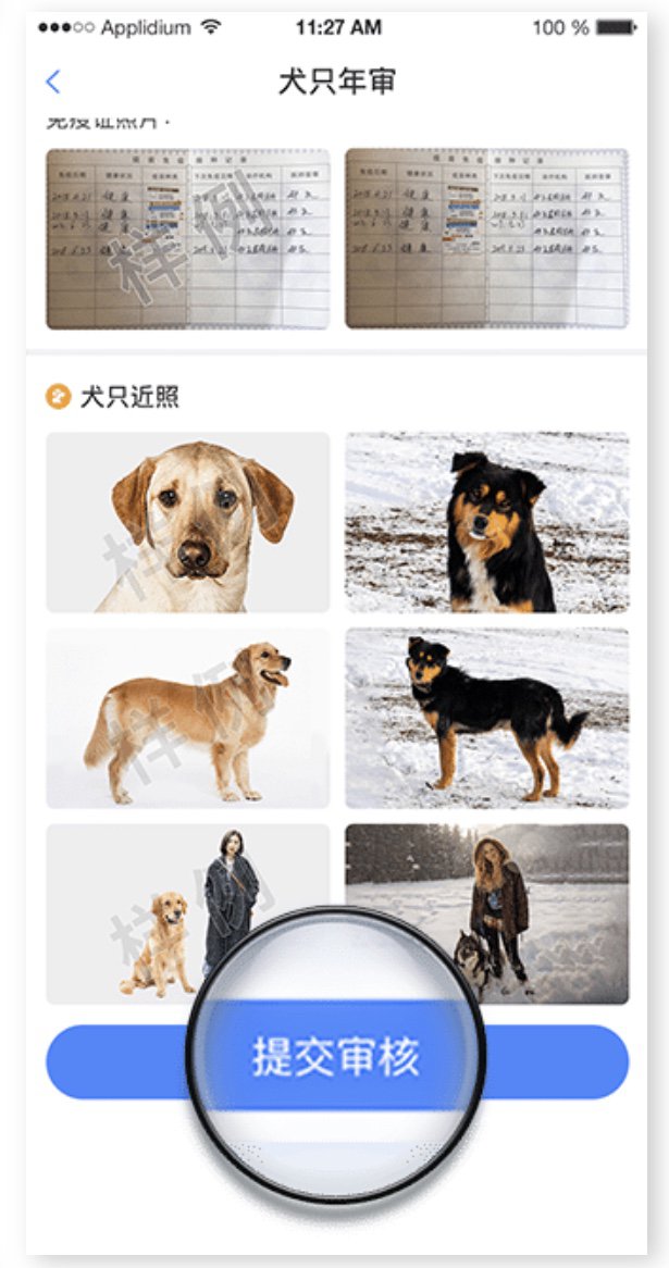 无锡宠物 > 无锡养犬年审办理指南                     犬证办理