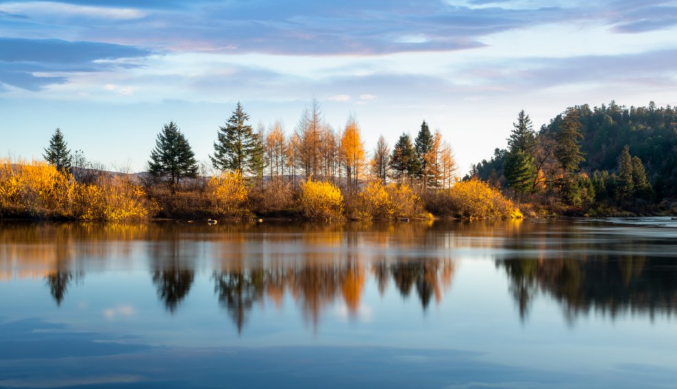 无锡湿地公园汇总（地址 面积 特色）
