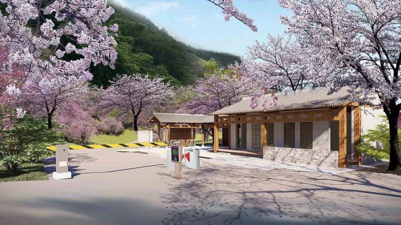 2020温州瑞安千亩樱花谷现已开建