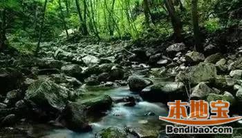 蔓草v蔓草,青藤烂漫,顺序白兔缠树,山山雀陡峰险,溪河清粼响石,壁崖高坡连小野花在干什么图片