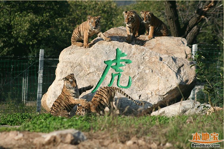 2016秦岭野生动物园六一免费入园(免费攻略免费对象)dnf暗街之王加点大全攻略图片