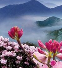 姊妹饭
