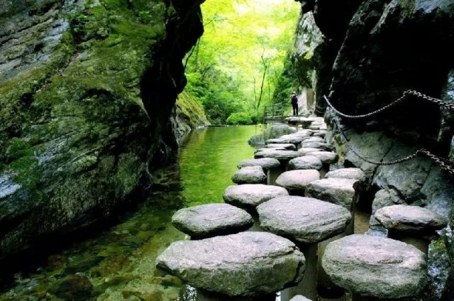 消夏避暑!陕西柞水牛背梁国家森林公园一日游全攻略