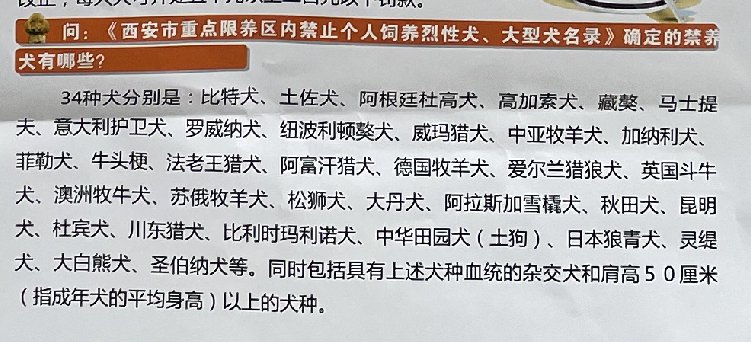西安柴犬被禁养了嘛