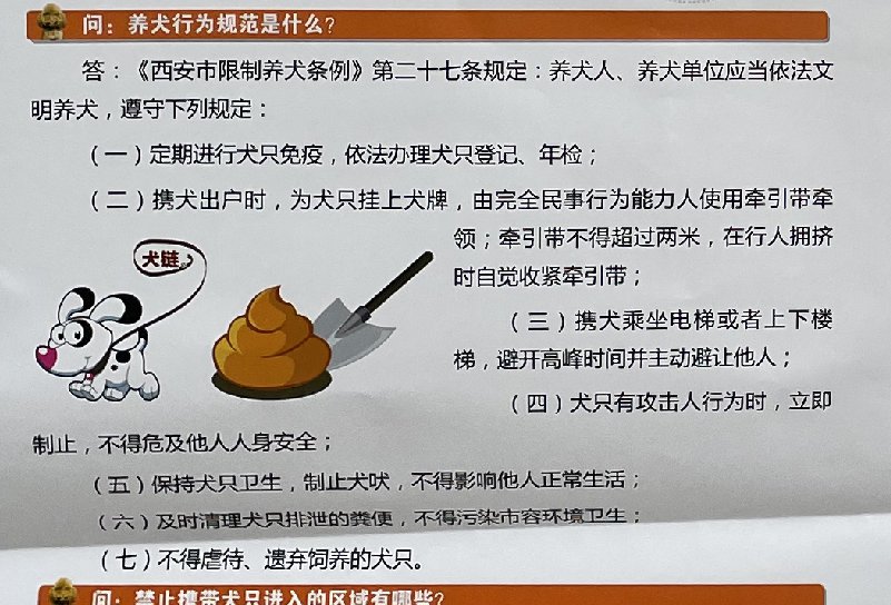 西安小型犬需要办理狗证吗