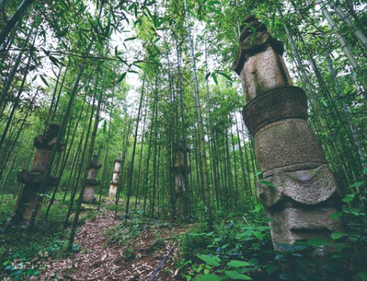 襄阳白竹园寺游玩攻略