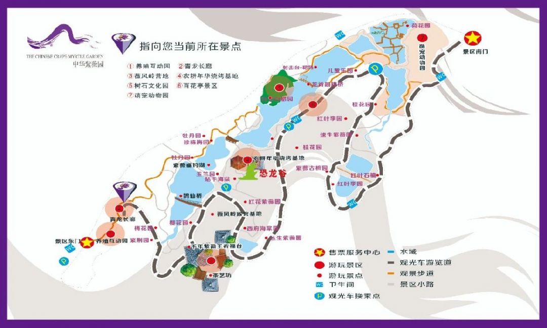 紫荆花    景区地址:湖北襄阳市襄城区尹集乡中华紫薇园    乘车路线