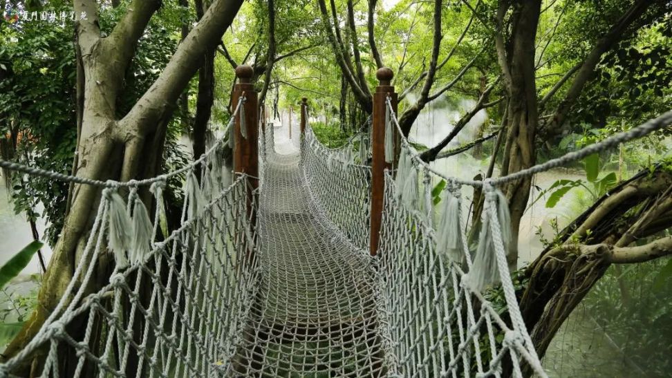 此外,这里还有一座横穿在雨林中的 绳索桥,走在桥上晃晃悠悠,很考验