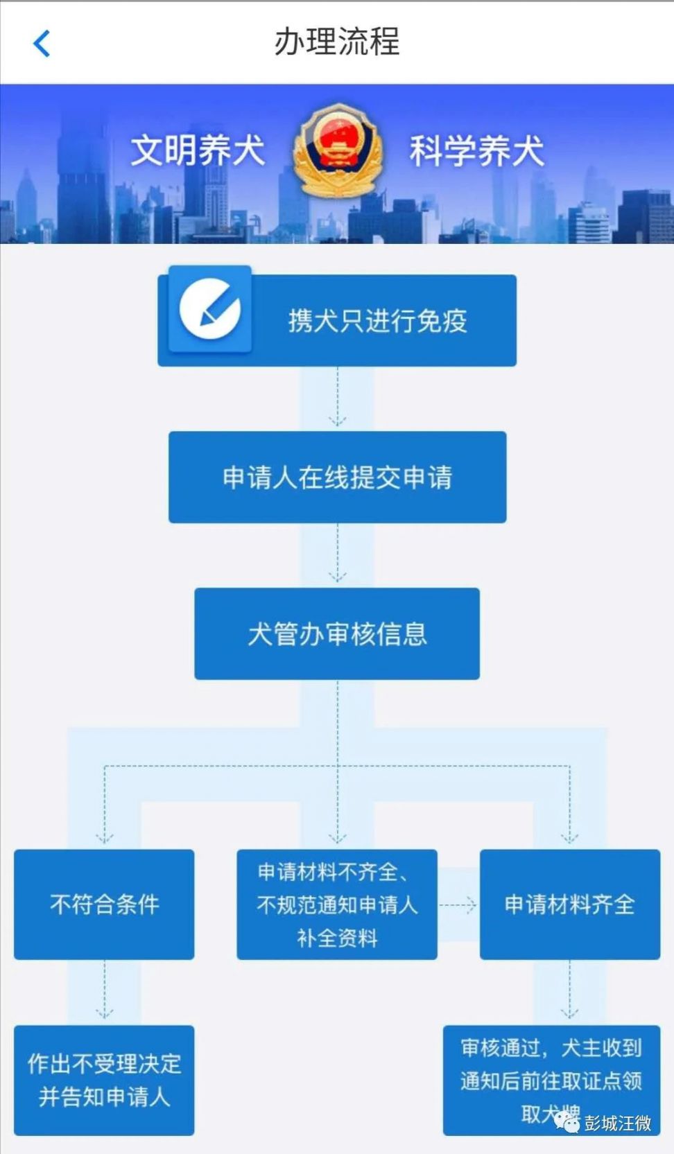 2020徐州电子狗证办证流程